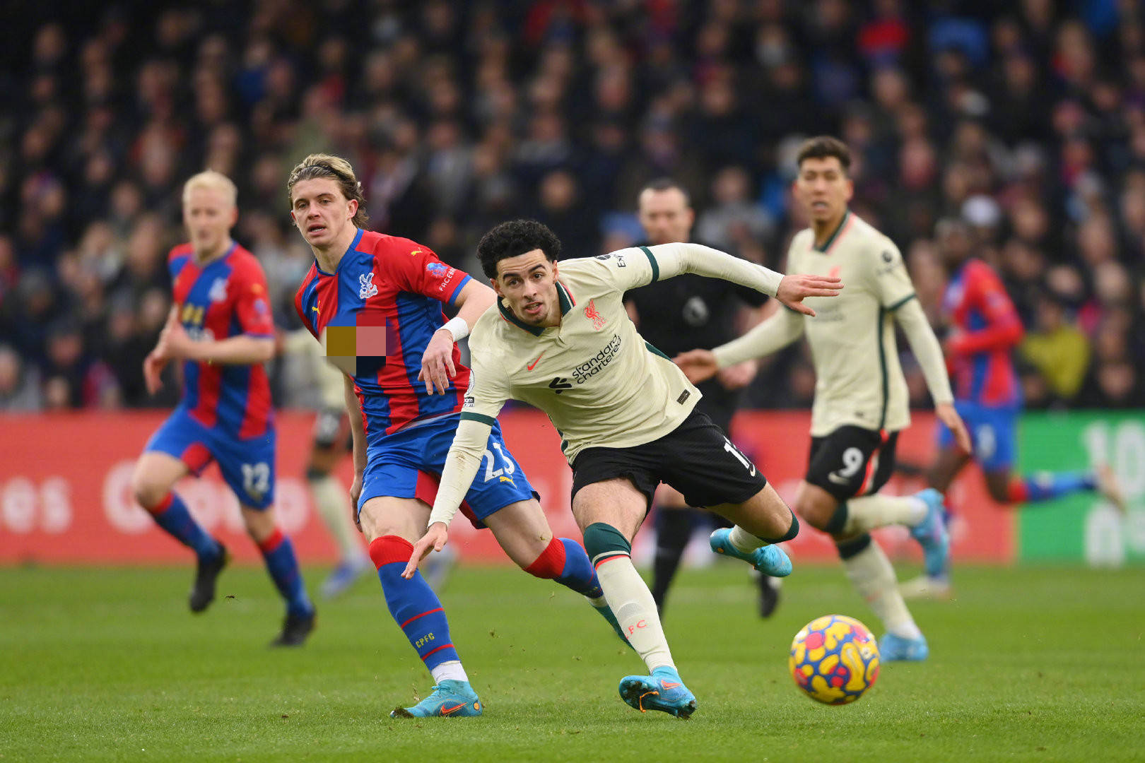 在多个领域 在多个领域